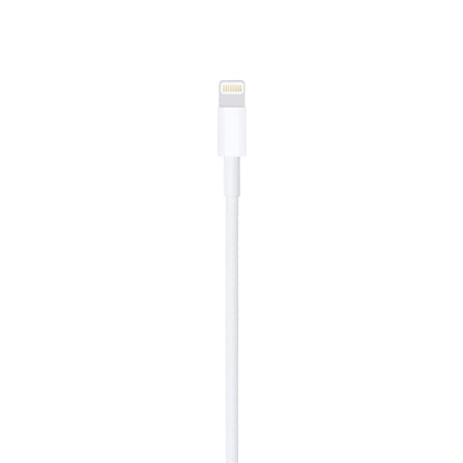 Lightning to USB Cable (1 m)
